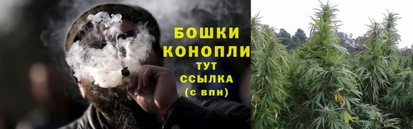 ПСИЛОЦИБИНОВЫЕ ГРИБЫ Горно-Алтайск