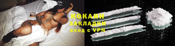 сатива Волоколамск