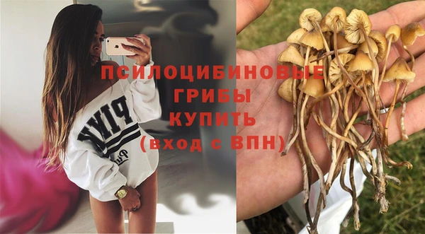 винт Вязьма