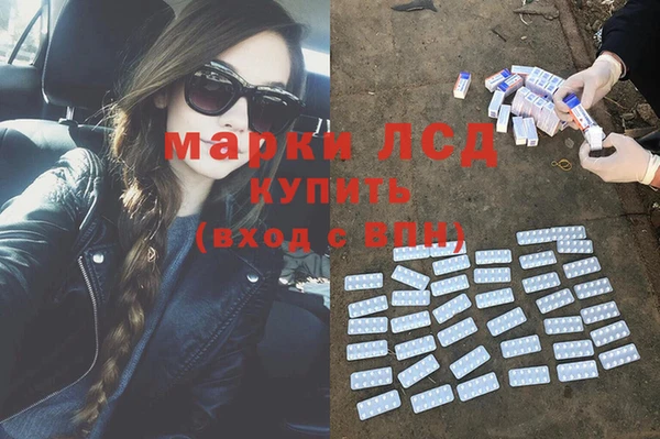 ПСИЛОЦИБИНОВЫЕ ГРИБЫ Горно-Алтайск