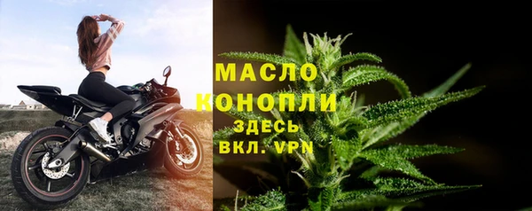 гидропоника Горняк