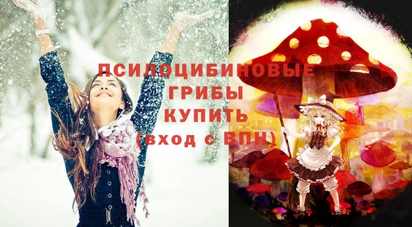 гидропоника Горняк