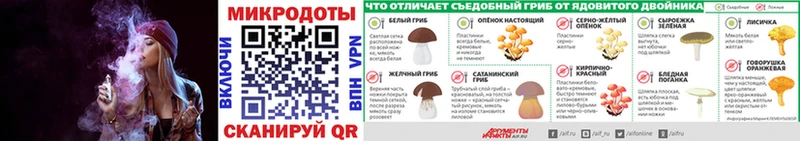 Галлюциногенные грибы Psilocybe  Ефремов 